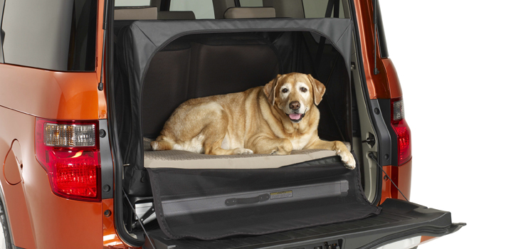 Najlepsze życzenia z okazji Międzynarodowego Dnia Psa! Honda Element i pakiet Dog Friendly